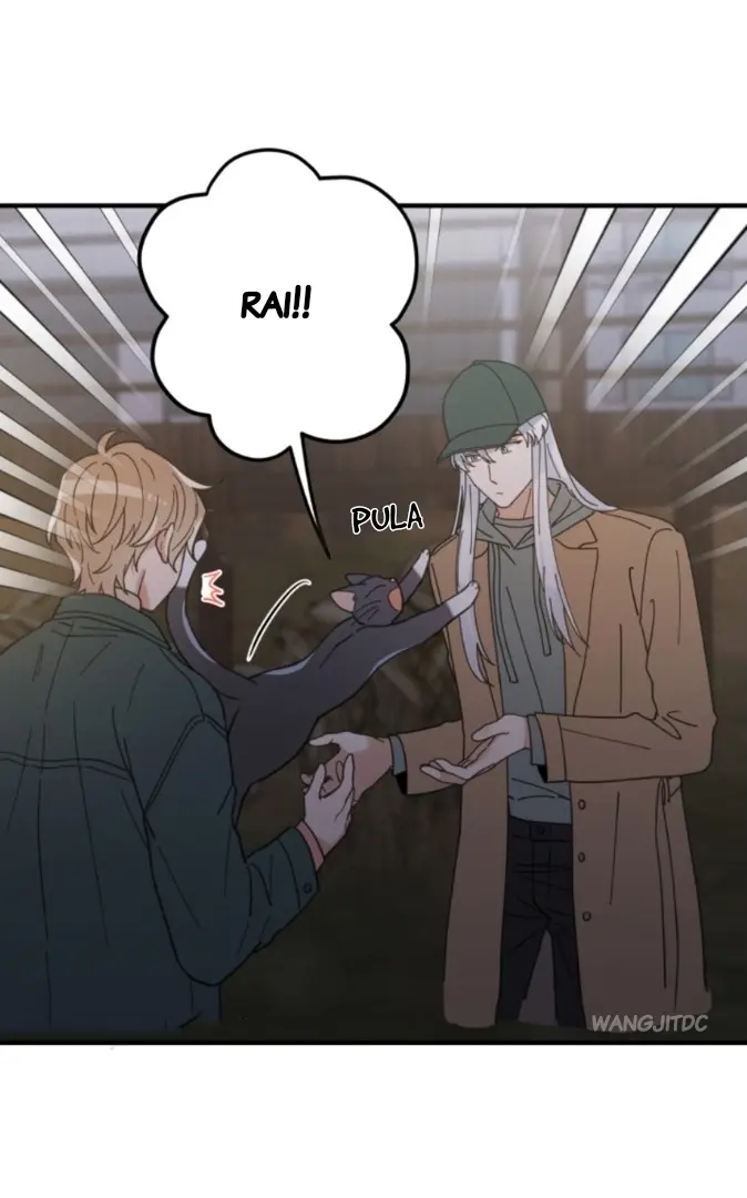 Meu Único Gato – Capítulo 33 Yaoi – Página 40