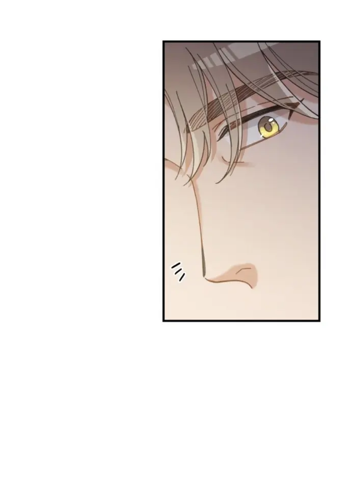 Meu Único Gato – Capítulo 33 Yaoi – Página 60