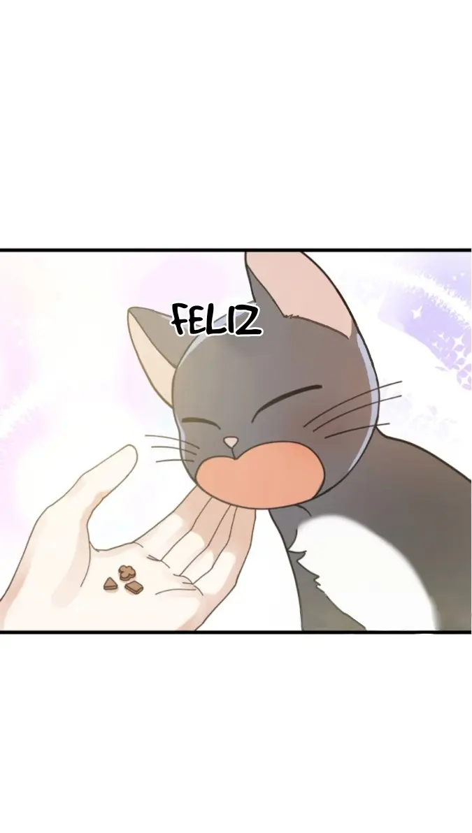 Meu Único Gato – Capítulo 34 Yaoi – Página 40