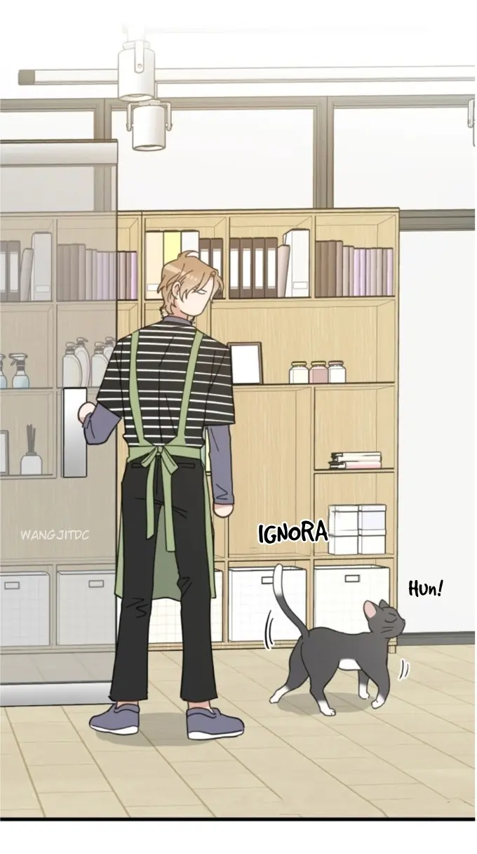 Meu Único Gato – Capítulo 34 Yaoi – Página 52