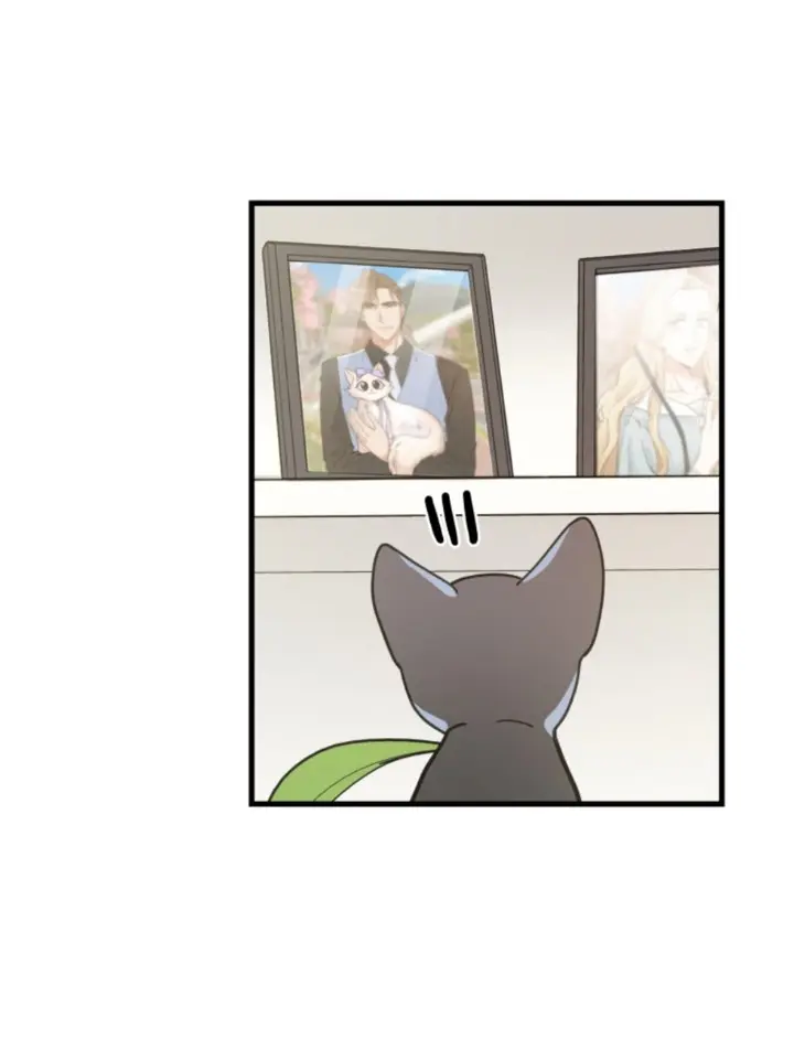 Meu Único Gato – Capítulo 34 Yaoi – Página 62