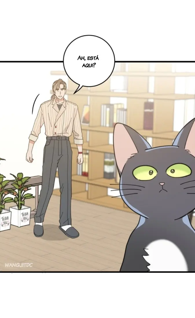 Meu Único Gato – Capítulo 34 Yaoi – Página 65
