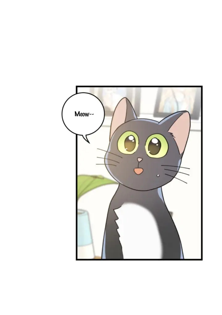 Meu Único Gato – Capítulo 34 Yaoi – Página 68