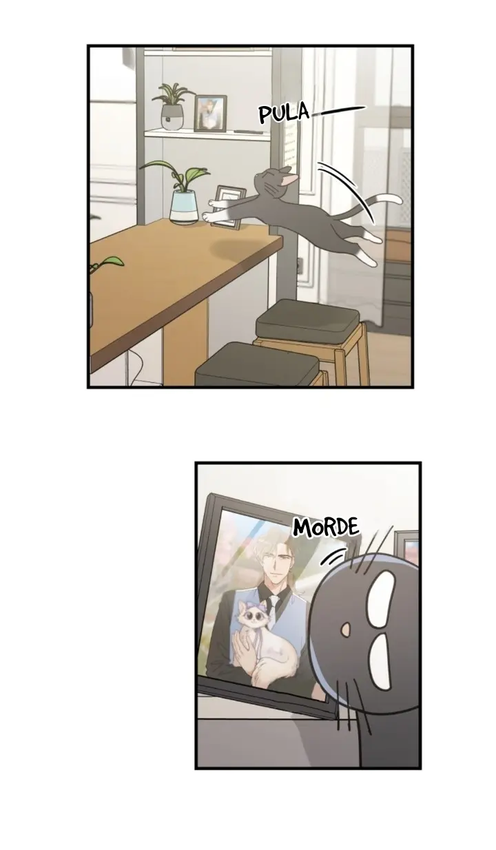 Meu Único Gato – Capítulo 35 Yaoi – Página 18