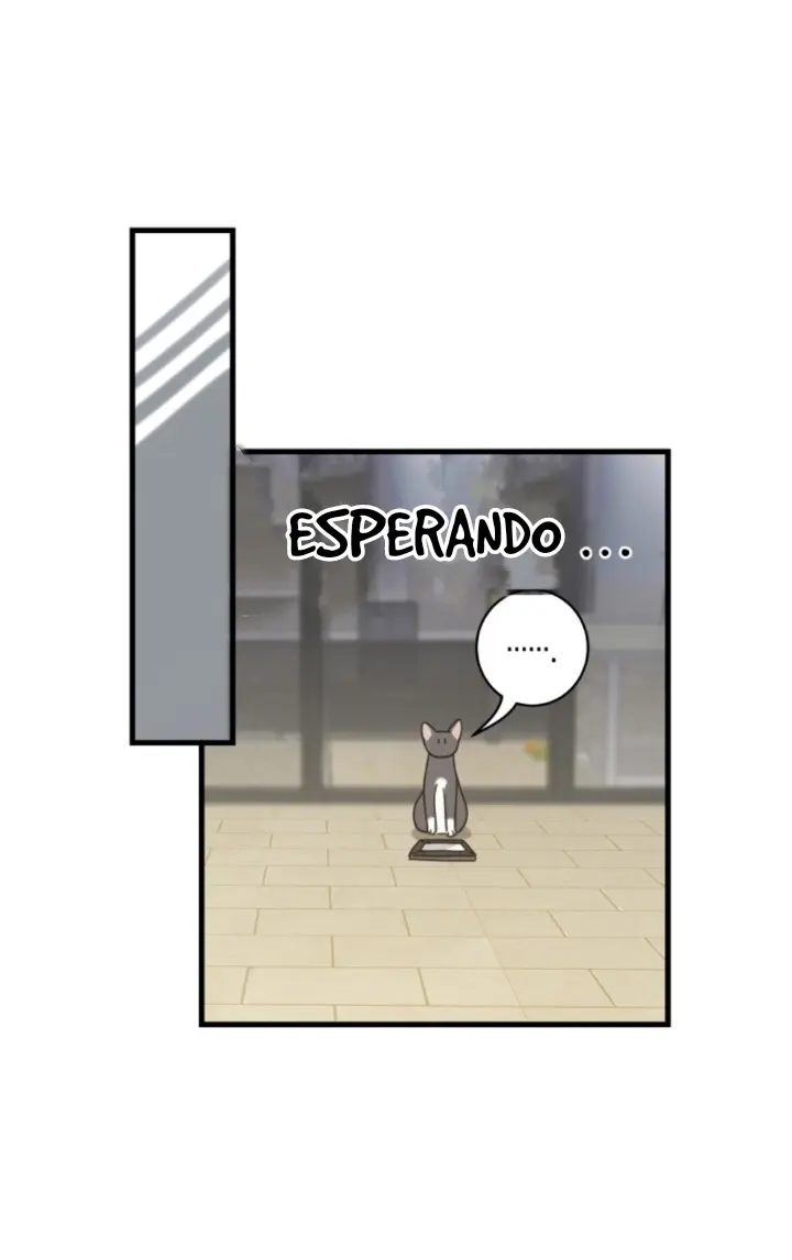 Meu Único Gato – Capítulo 35 Yaoi – Página 21