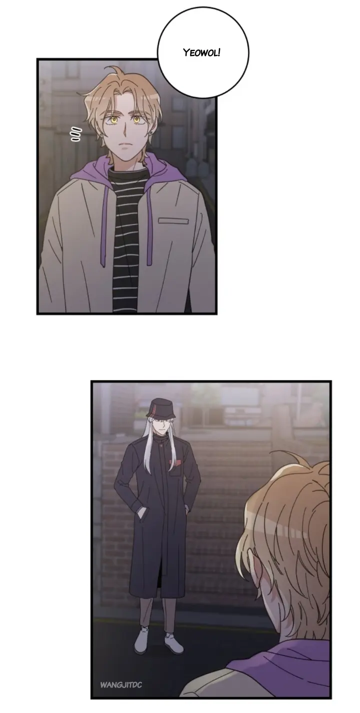 Meu Único Gato – Capítulo 35 Yaoi – Página 31