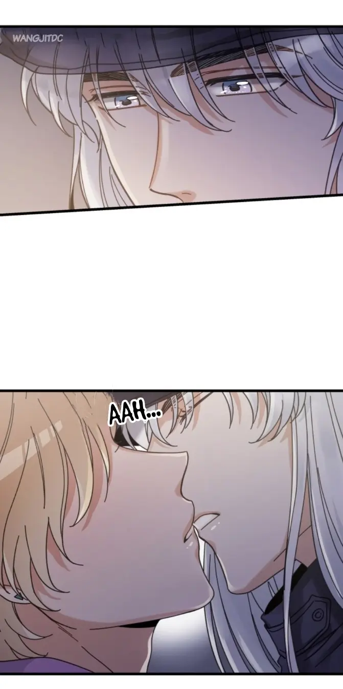 Meu Único Gato – Capítulo 35 Yaoi – Página 41