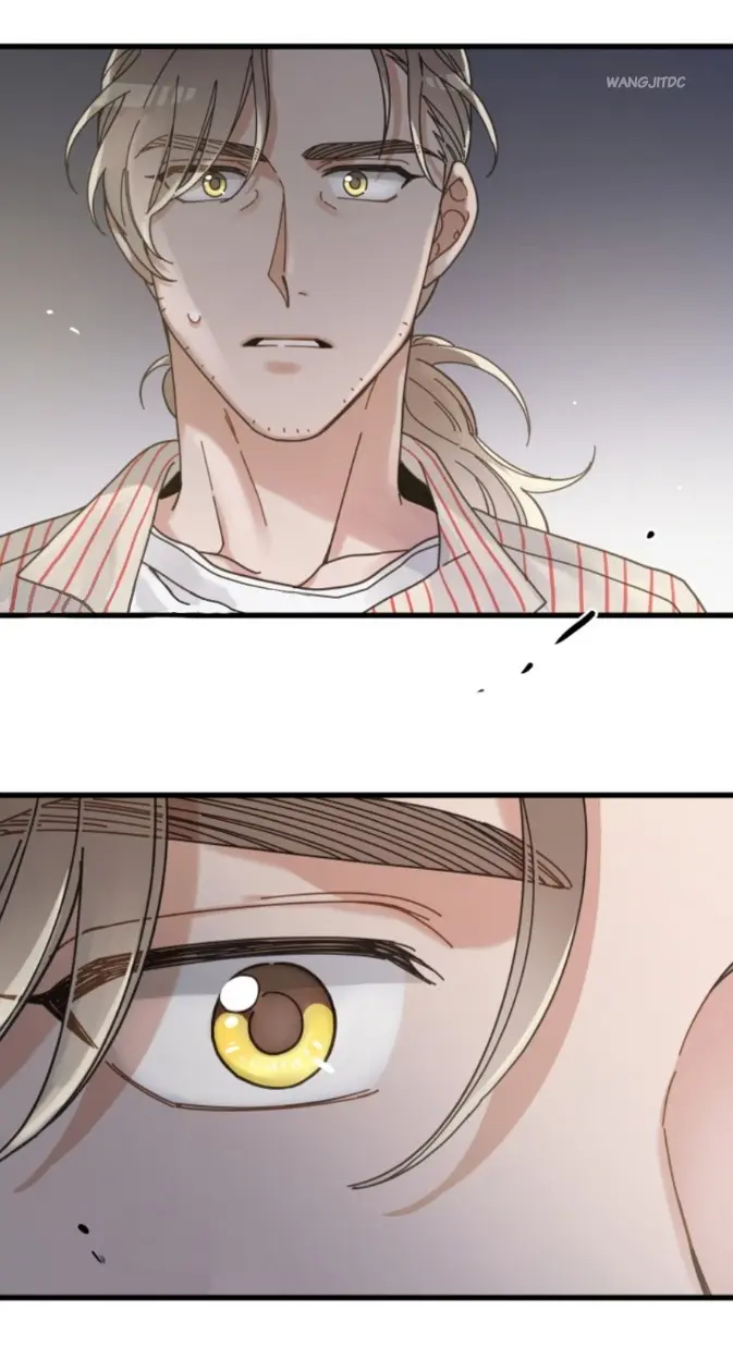 Meu Único Gato – Capítulo 35 Yaoi – Página 58