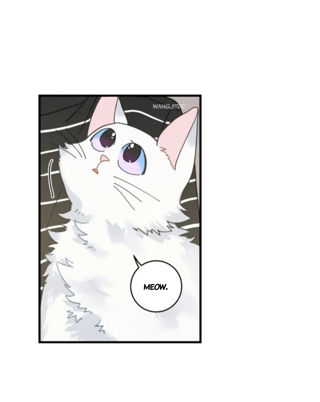 Meu Único Gato – Capítulo 36 Yaoi – Página 19