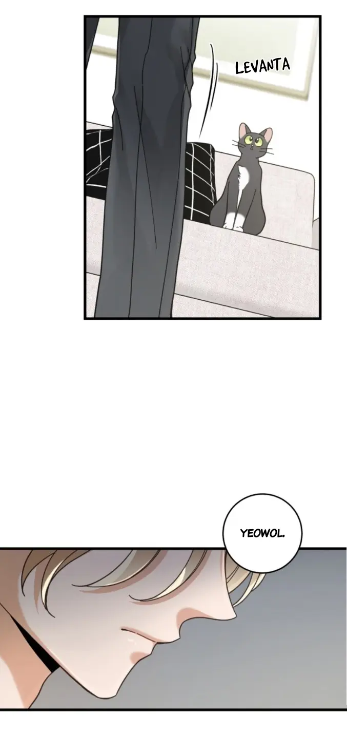 Meu Único Gato – Capítulo 36 Yaoi – Página 23