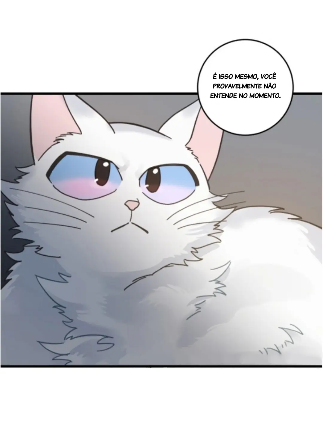 Meu Único Gato – Capítulo 36 Yaoi – Página 51