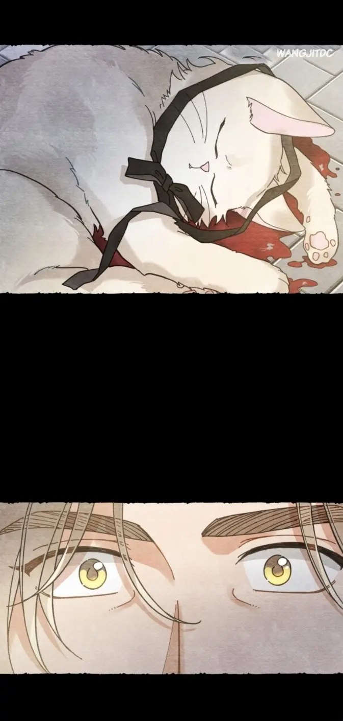 Meu Único Gato – Capítulo 36 Yaoi – Página 56