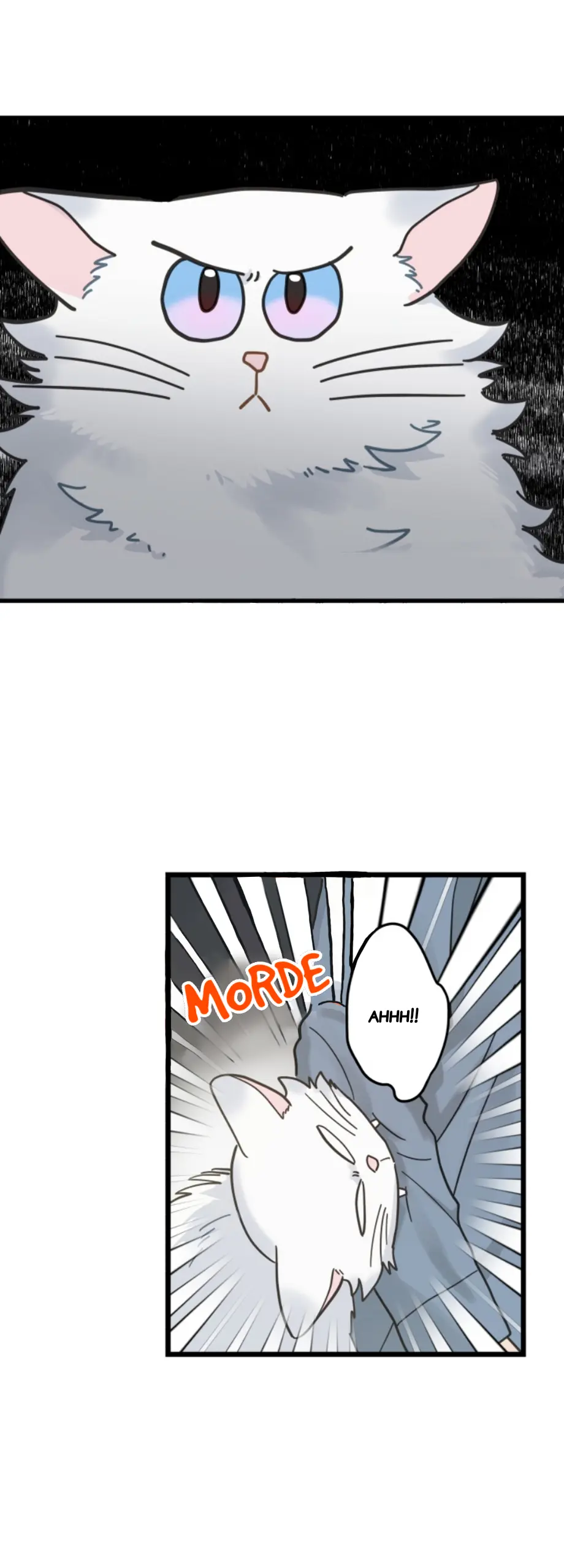 Meu Único Gato – Capítulo 37 Yaoi – Página 33