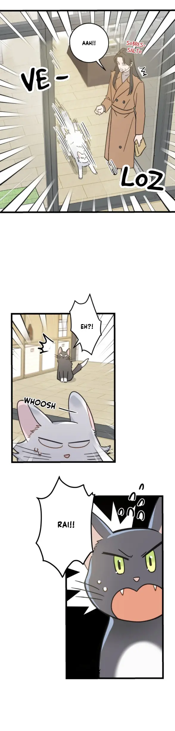 Meu Único Gato – Capítulo 39 Yaoi – Página 11