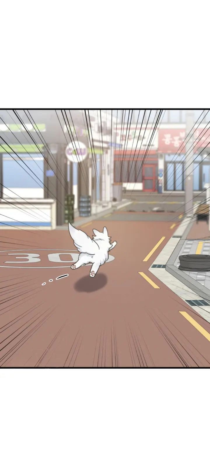 Meu Único Gato – Capítulo 39 Yaoi – Página 15