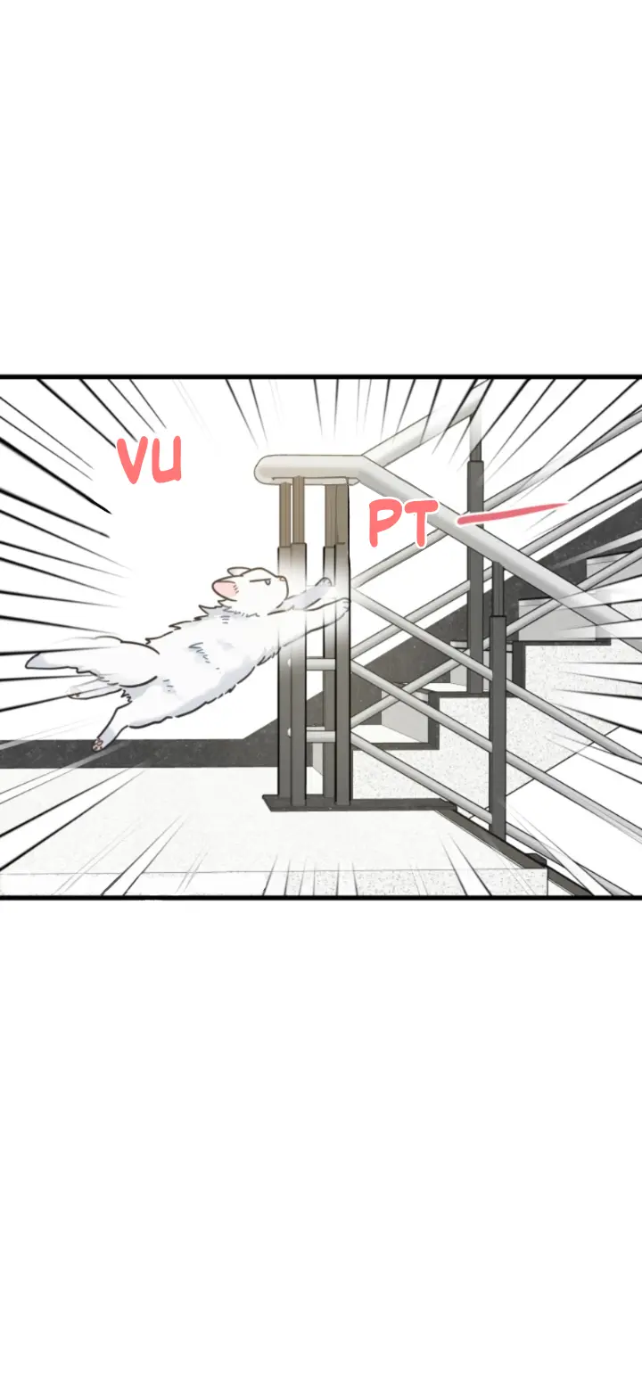 Meu Único Gato – Capítulo 39 Yaoi – Página 22