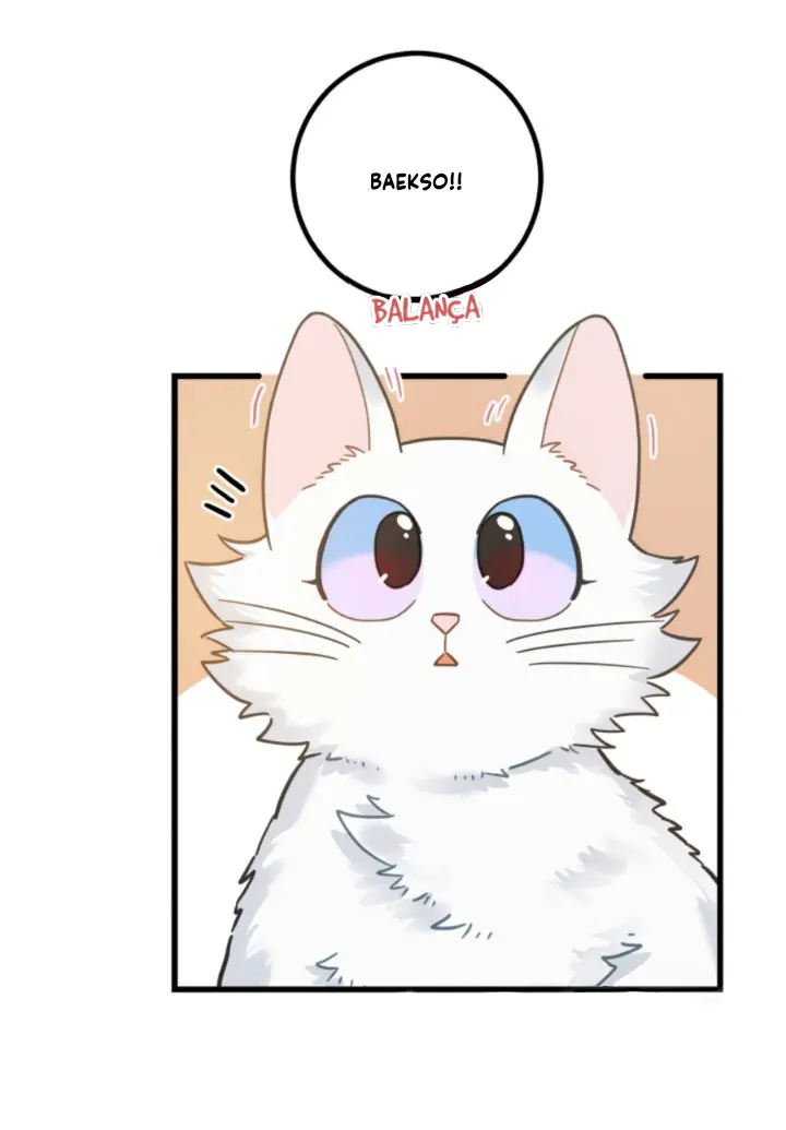 Meu Único Gato – Capítulo 39 Yaoi – Página 24