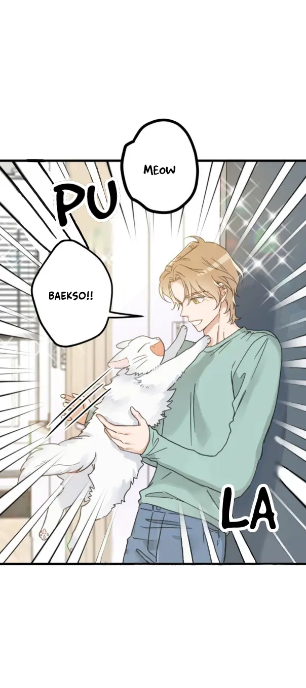 Meu Único Gato – Capítulo 39 Yaoi – Página 26