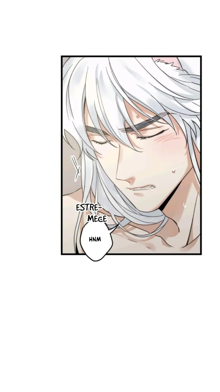 Meu Único Gato – Capítulo 40 Yaoi – Página 13