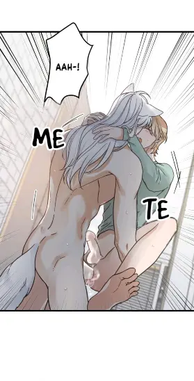 Meu Único Gato – Capítulo 40 Yaoi – Página 4