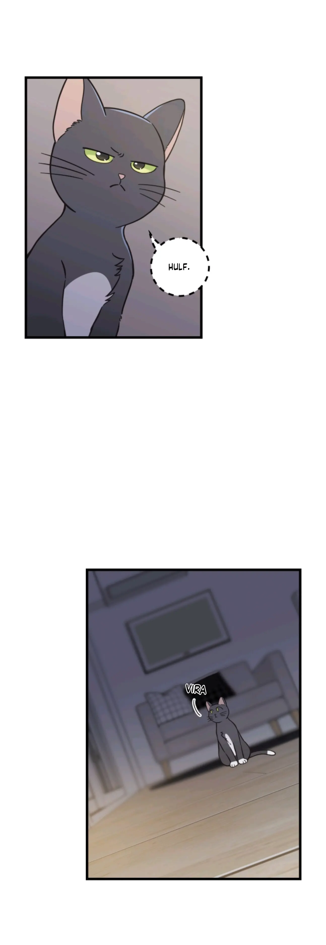 Meu Único Gato – Capítulo 48 Yaoi – Página 15