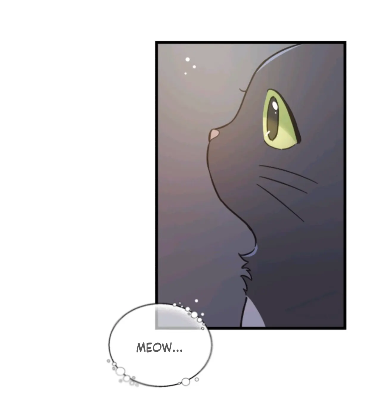 Meu Único Gato – Capítulo 48 Yaoi – Página 17