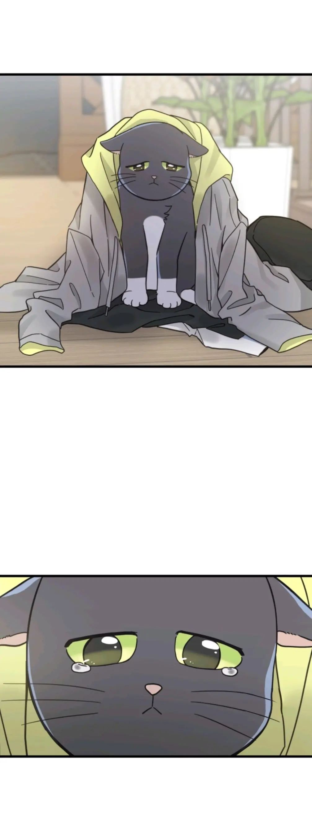 Meu Único Gato – Capítulo 50 Yaoi – Página 23