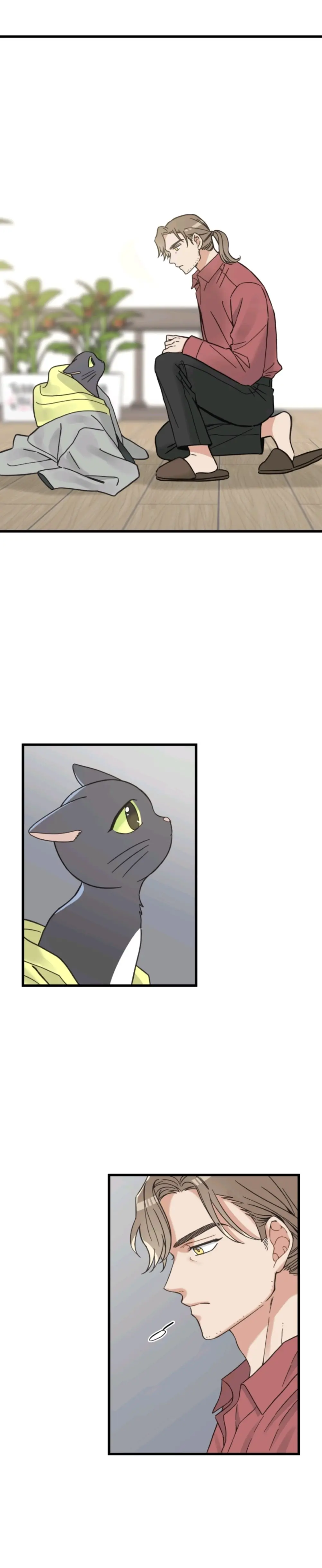 Meu Único Gato – Capítulo 50 Yaoi – Página 25