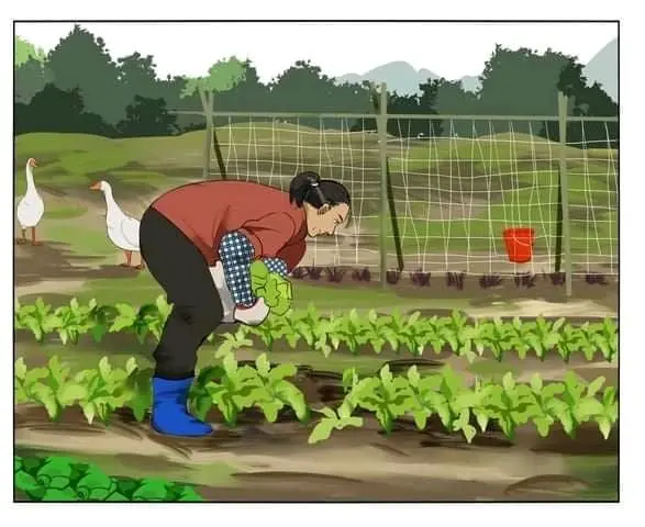 Mr. He – Capítulo 14 Yaoi – Página 1