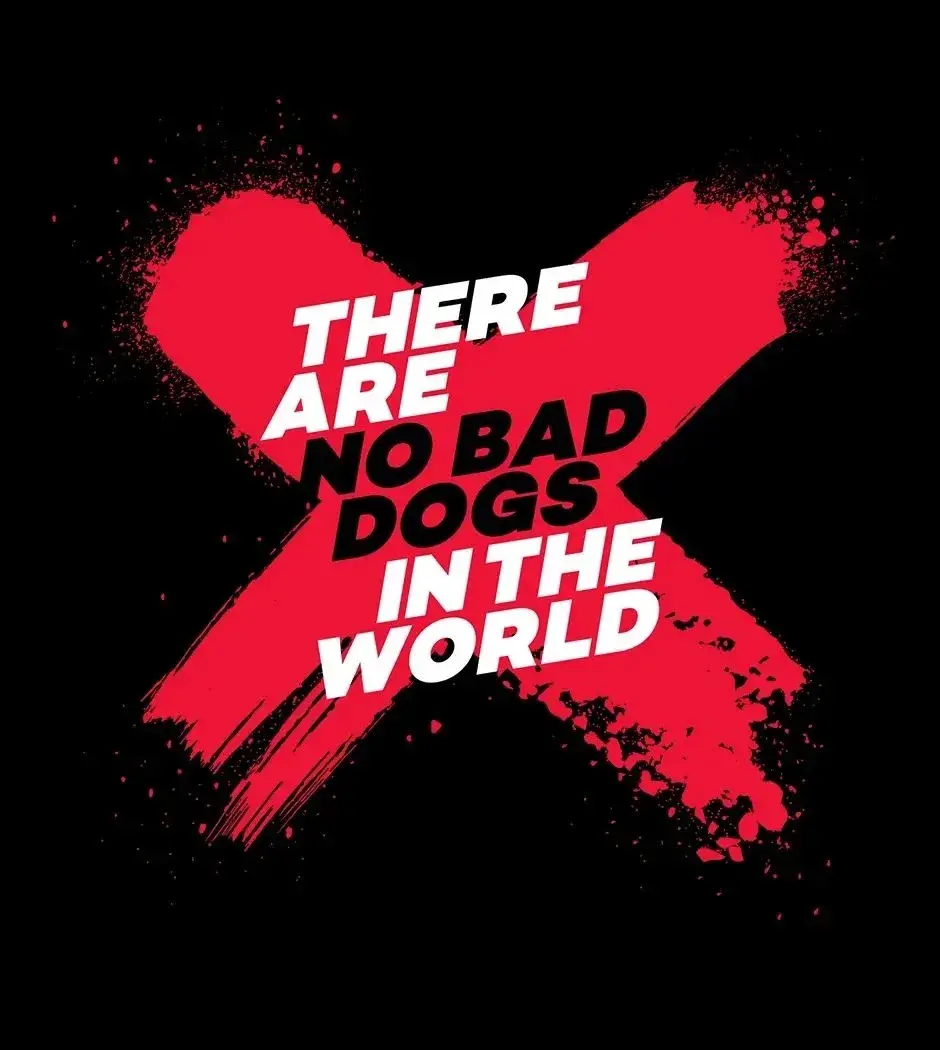 Não existem cachorros maus no mundo – Capítulo 27 Yaoi – Página 45