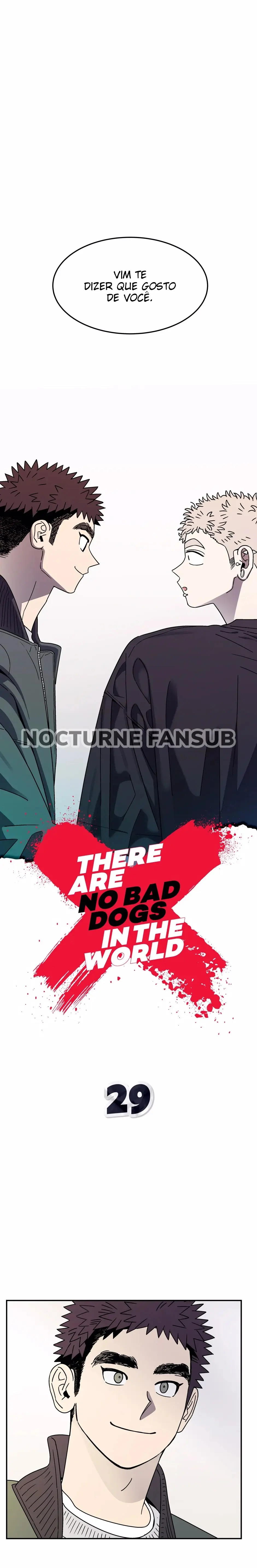 Não existem cachorros maus no mundo – Capítulo 29 Yaoi – Página 2
