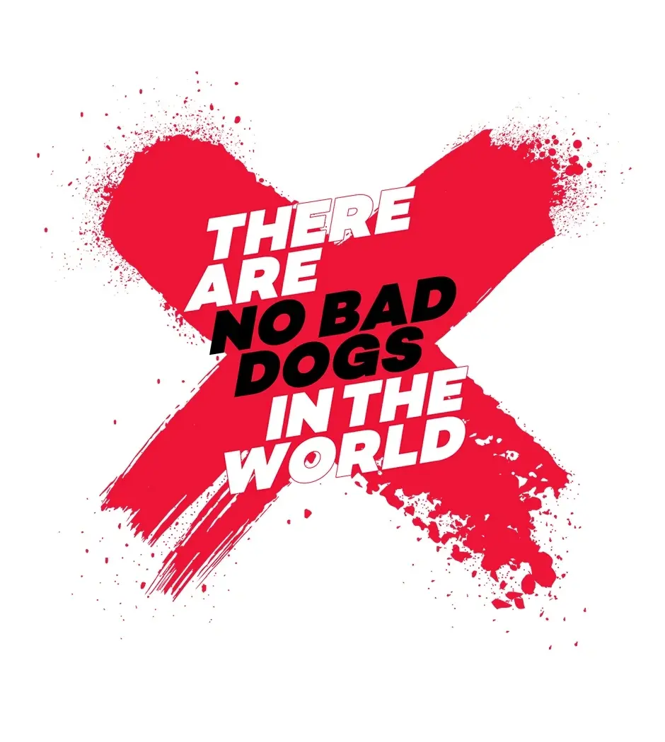 Não existem cachorros maus no mundo – Capítulo 35 Yaoi – Página 43