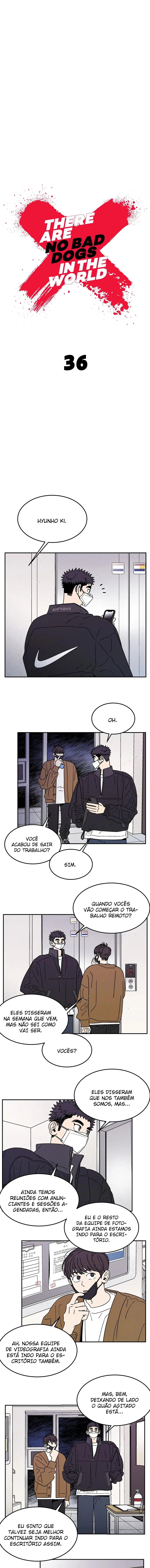 Não existem cachorros maus no mundo – Capítulo 36 Yaoi – Página 2