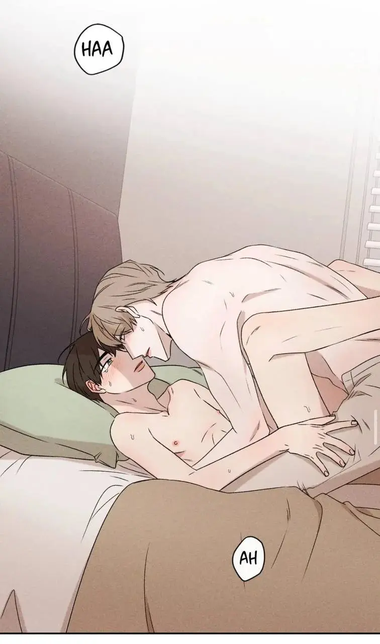 Não me dê esperanças – Capítulo 36 Yaoi – Página 46