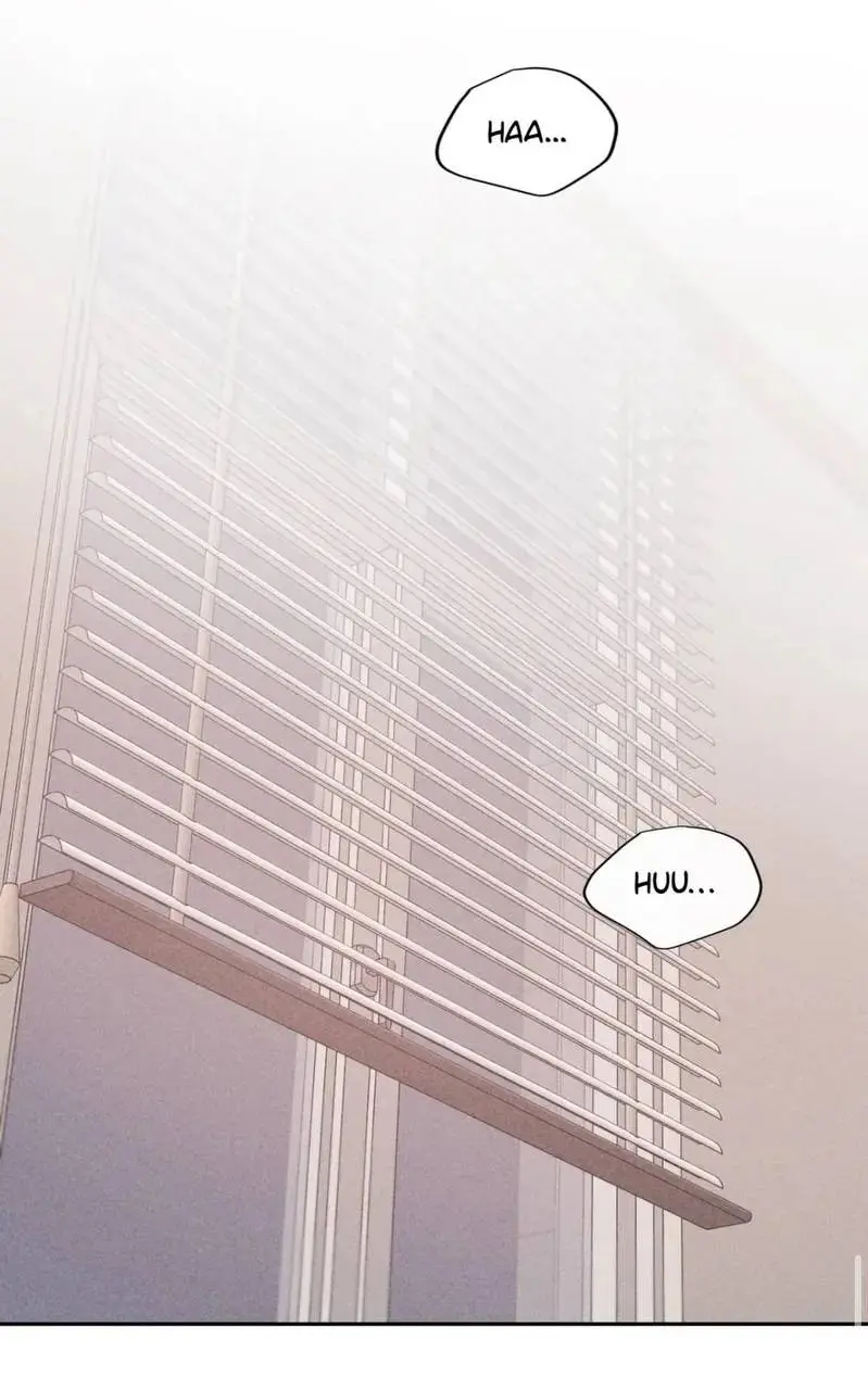 Não me dê esperanças – Capítulo 44 Yaoi – Página 64