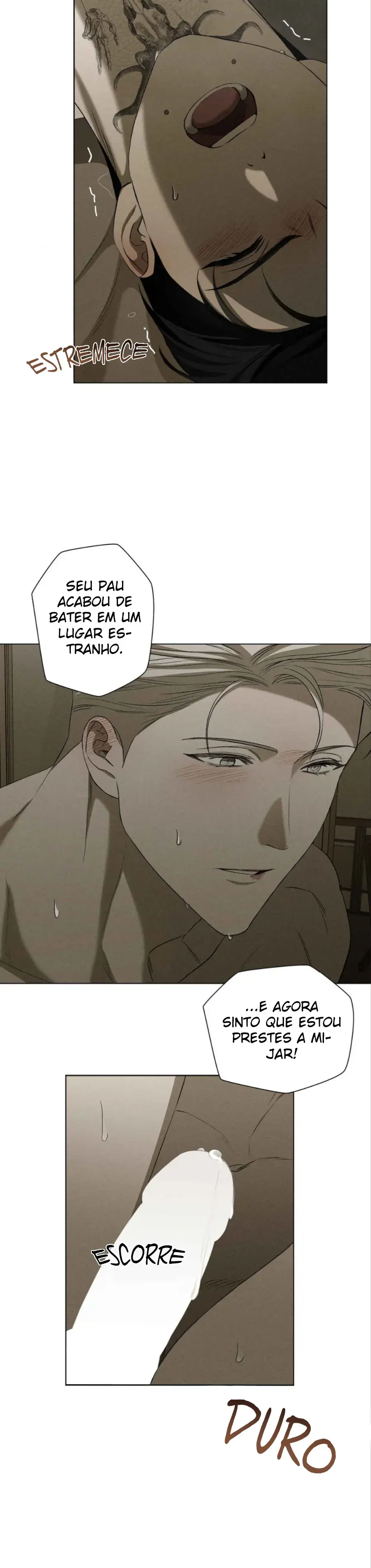 Never Seen Before – Capítulo 17 Yaoi – Página 11