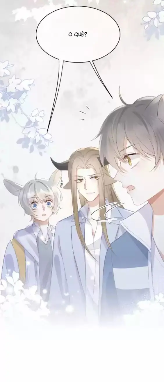 O Coelho e o Leão – Capítulo 07 Yaoi – Página 34