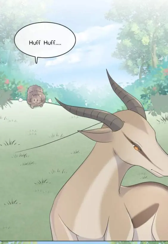 O Coelho e o Leão – Capítulo 12 Yaoi – Página 37