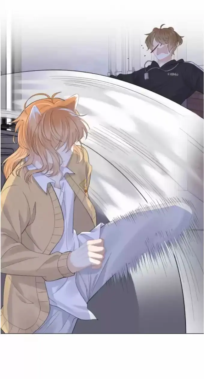 O Coelho e o Leão – Capítulo 31 Yaoi – Página 16