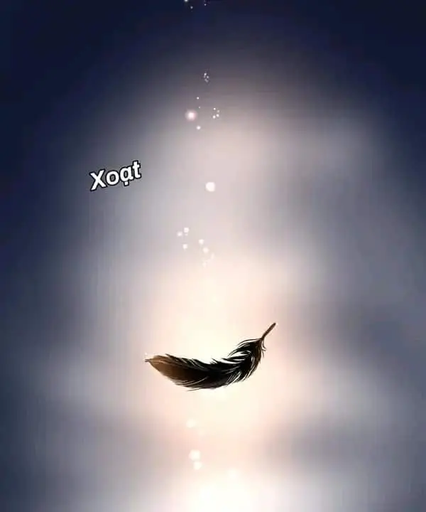 Os Olhos – Capítulo 44 Yaoi – Página 12