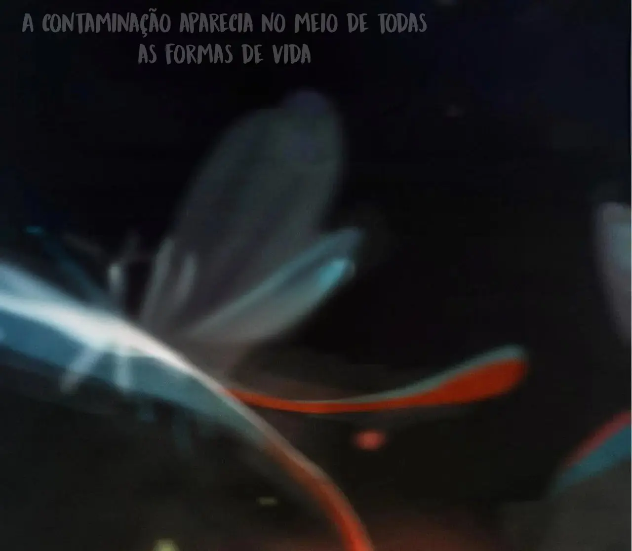 Pequeno Cogumelo – Capítulo 00 Yaoi – Página 22