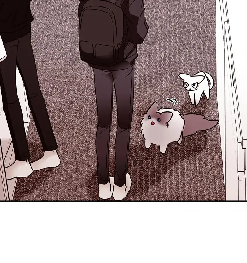 Romance Involuntário – Capítulo 19 Yaoi – Página 27