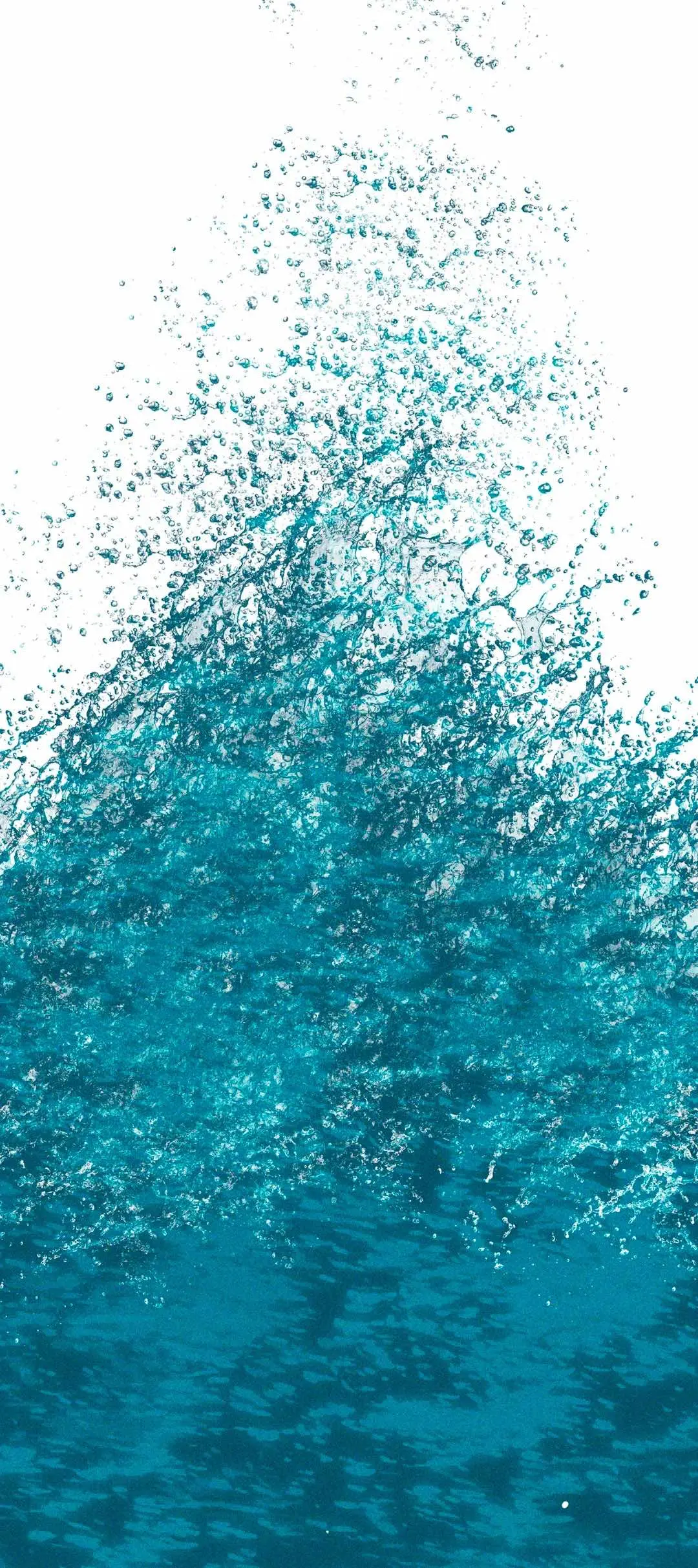 Shell Boy – Capítulo 90 Yaoi – Página 52