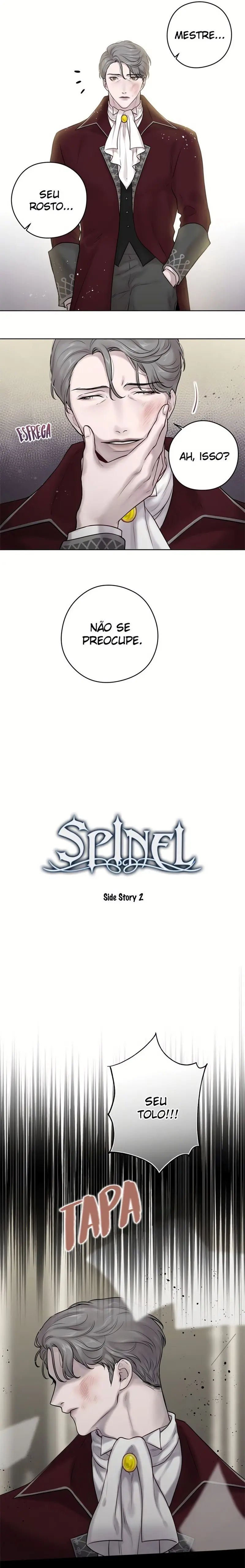 Spinel – Capítulo 32 – Side Story 2 Yaoi – Página 2