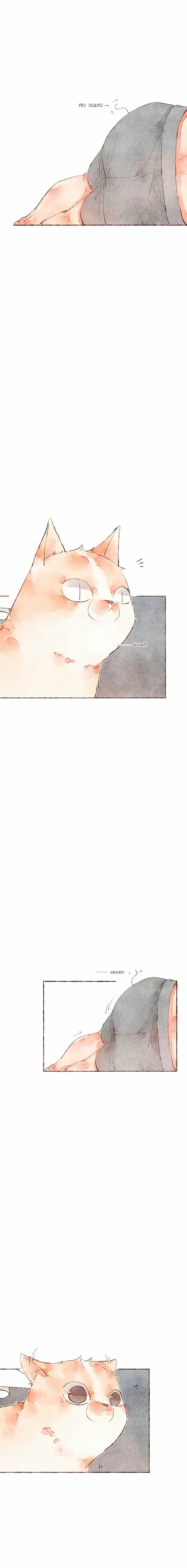 Starting With a Lie – Capítulo 24 Yaoi – Página 4