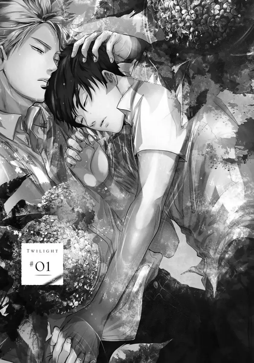 Twilight – Capítulo 01 Yaoi – Página 2